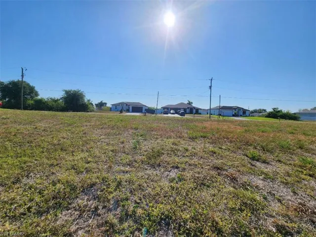 Expansive cleared lot with scattered natural growth