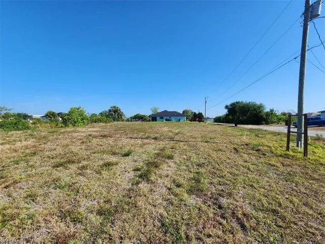 Expansive lot featuring a clear, level terrain with scattered natural grasses