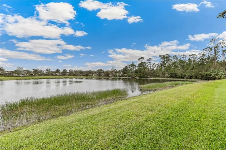10097 Avalon Lake Cir, Fort Myers Fl 33913