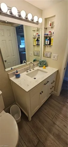 Bathroom featuring vanity, toilet, and wood-type flooring