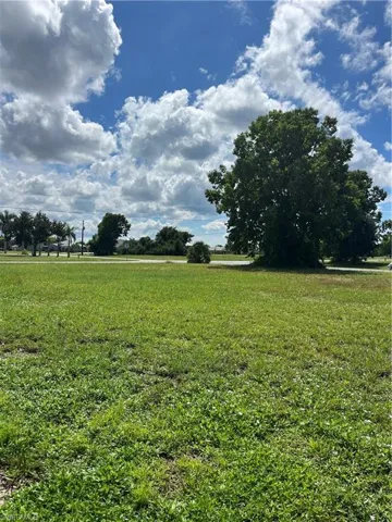 Expansive open lot with established green landscaping and mature trees