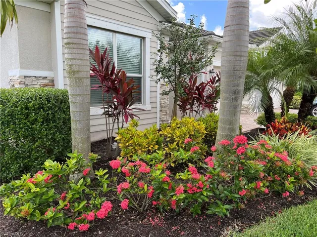 Additional Lanscaping