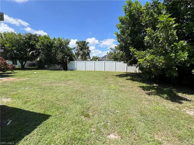 View of backyard