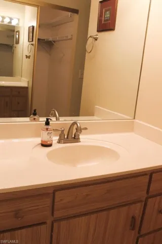 Bathroom with vanity and a spacious closet