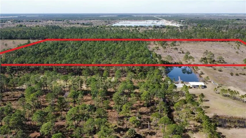 Bird's eye view featuring a water view and a forest view