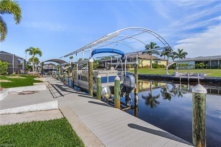 Watch the dolphins play in your own backyard.