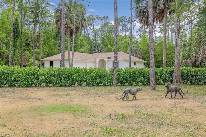 2nd home at the rear of property