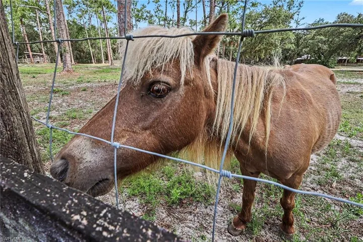 2291 Secretariat Dr. LaBelle, FL 33935
