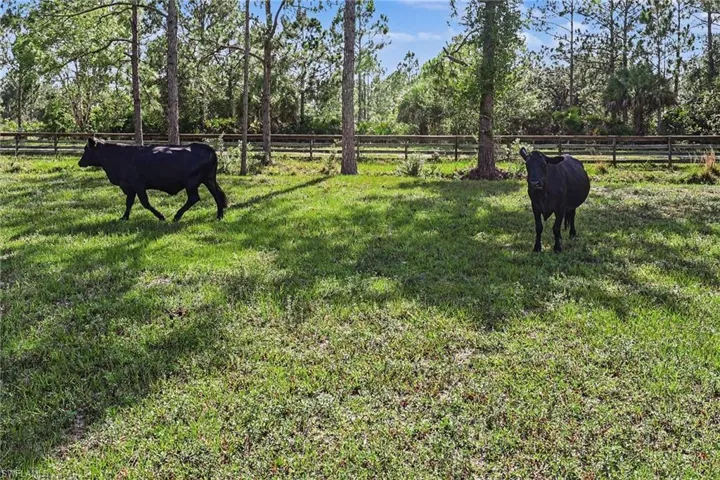 2291 Secretariat Dr. LaBelle, FL 33935