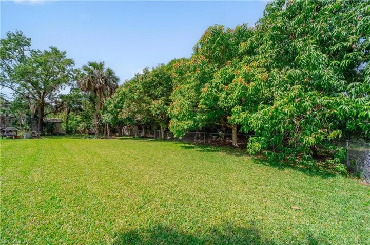 View of Mango Trees  & Center of Backyard