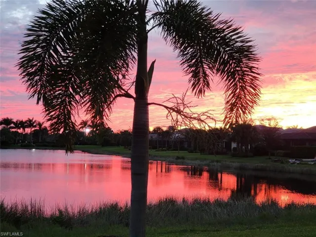 Amazing Sunsets