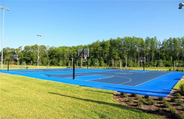 Ave Maria basketball court