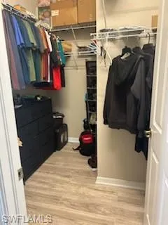 Spacious closet featuring light wood-style flooring