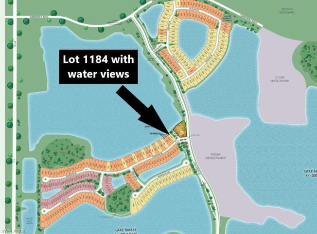 Homesite map - lot 11843 with water views