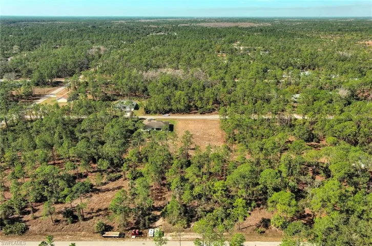 Bird's eye view of a forest
