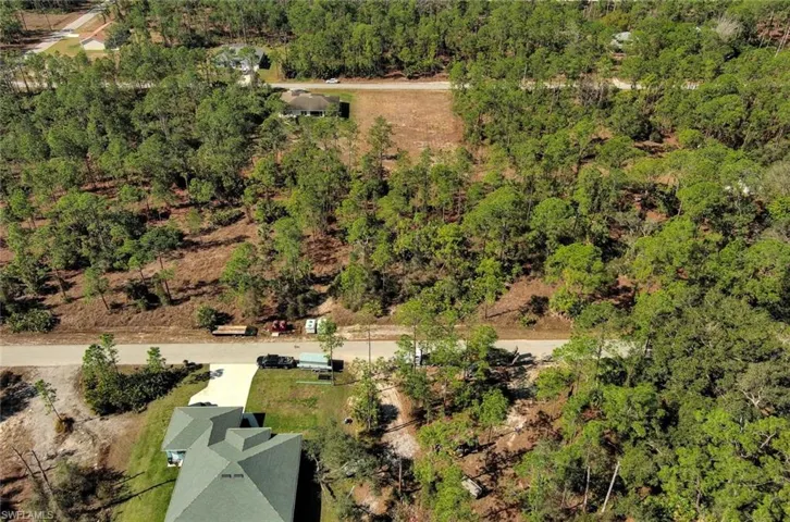 Aerial view of a forest