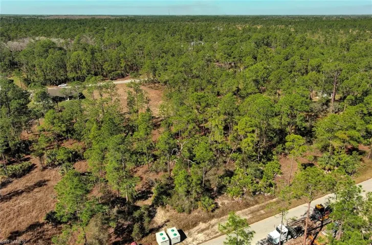 Aerial view of a heavily wooded area