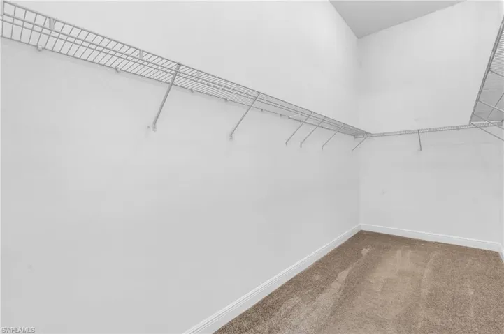 Spacious closet with carpet flooring