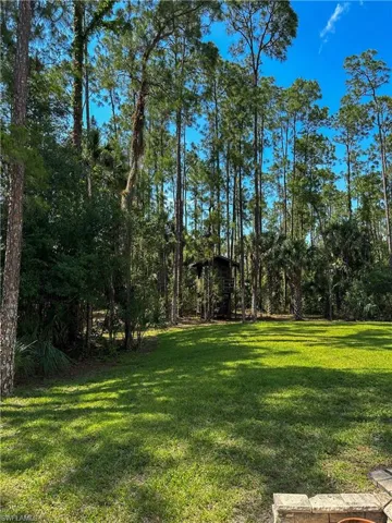 Virtual Tour #2 shows more of the 2.5 acres