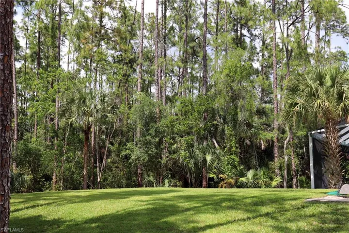 Yard behind house