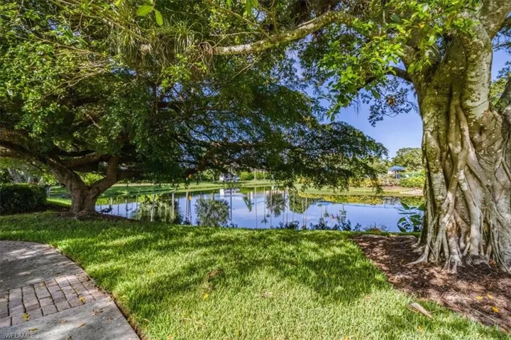 Water view