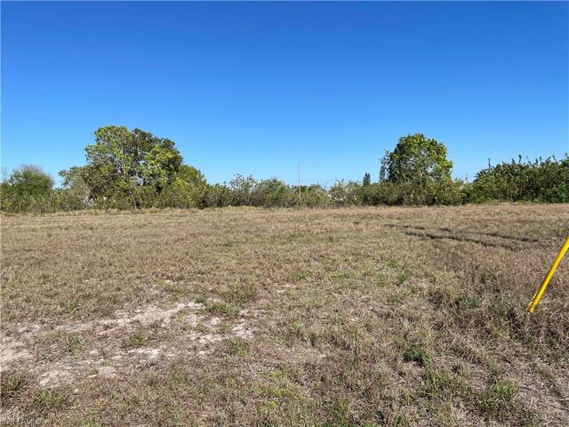 clear lot electricity pole on right