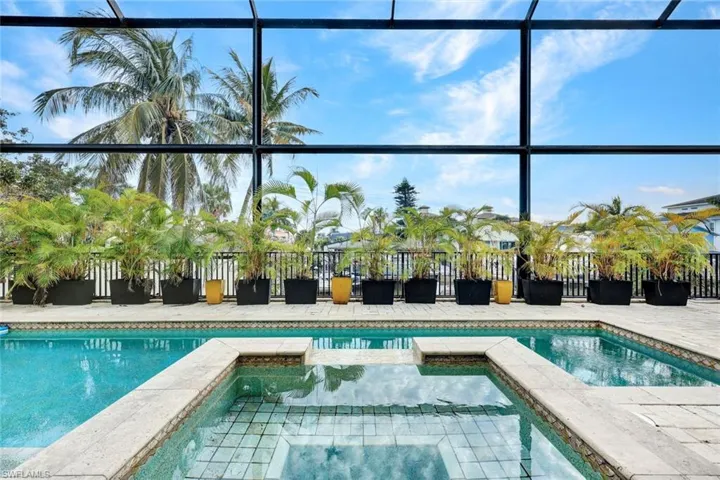 Screen-enclosed pool area featuring a spillover spa, paver decking, and a perimeter railing with container plantings