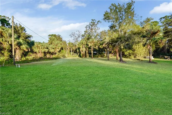 View of grassy yard
