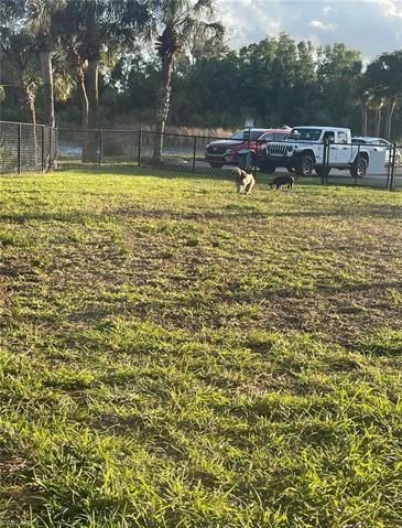 Dog park
