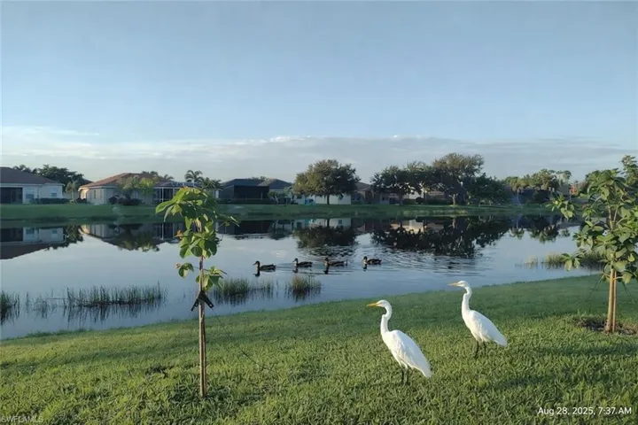 Lake View