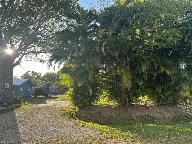 View of dirt / gravel driveway