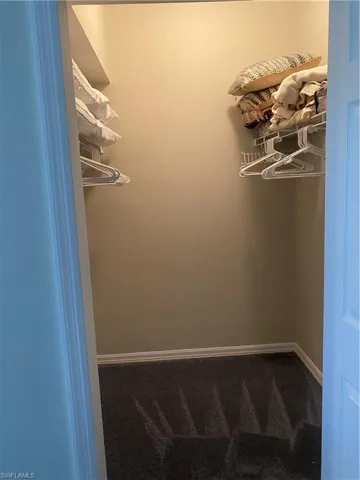 Spacious closet featuring dark carpet