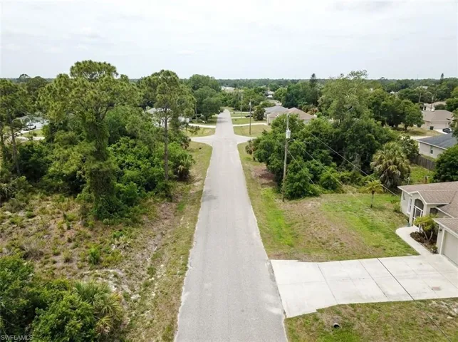 Paved residential street with an intersection, surrounded by mature trees and natural vegetation