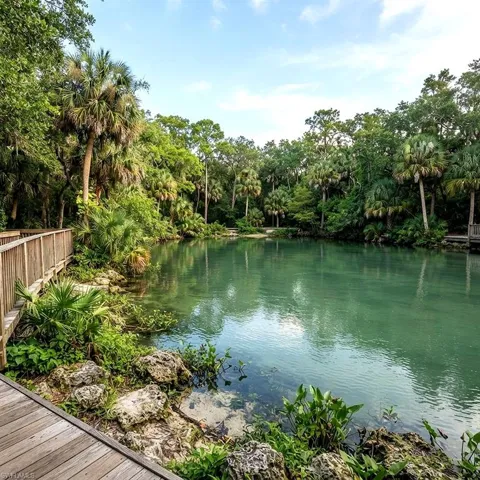 Wood-finish boardwalk skirting a clear water body, surrounded by dense tropical foliage including palm trees and lush undergrowth
