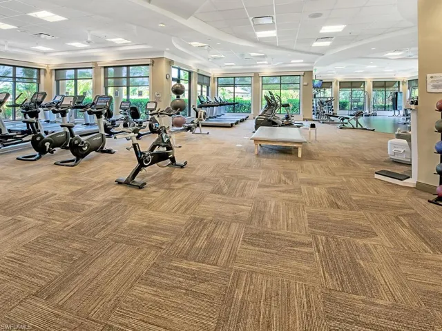 Gym with a paneled ceiling and light colored carpet