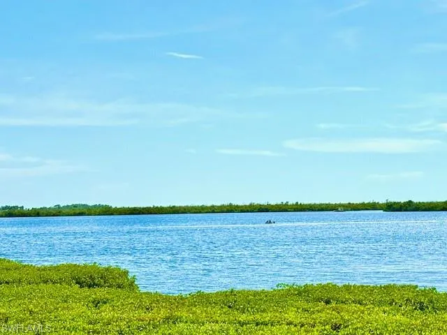 Back Bay water view