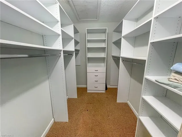 Spacious closet with light carpet