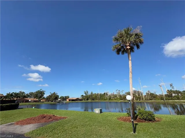 Water view