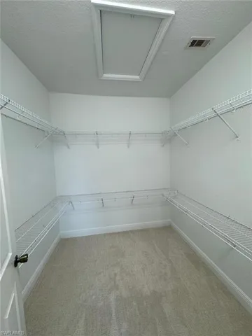 Spacious closet featuring light colored carpet