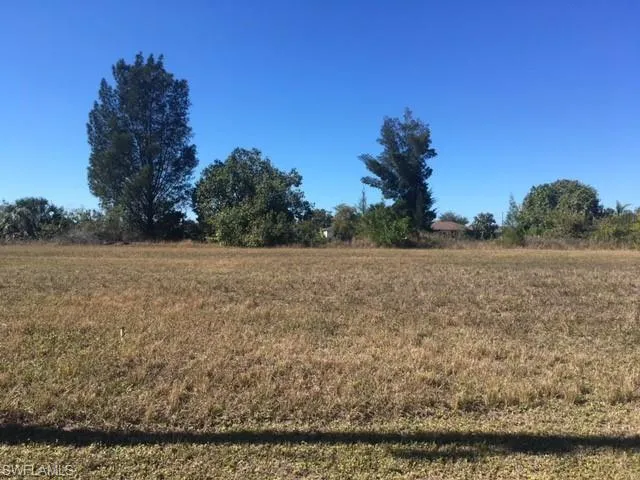 View of local wilderness