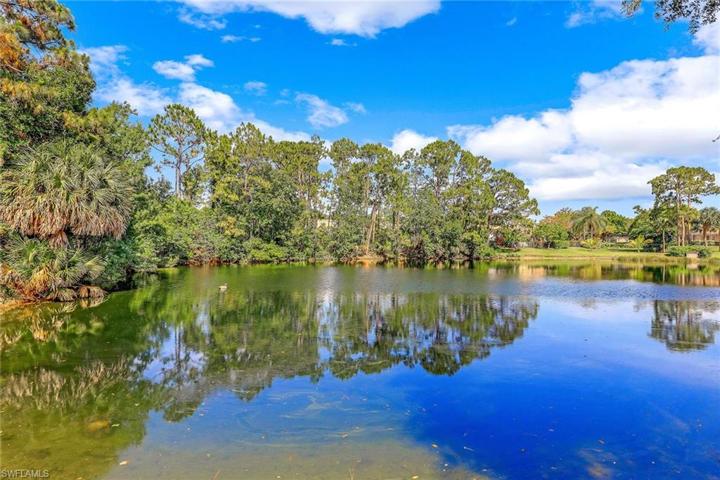Serene treetop and pond views