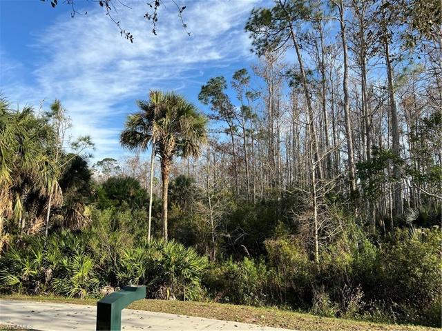 9563  Hemingway  LN, Fort Myers, FL 33913