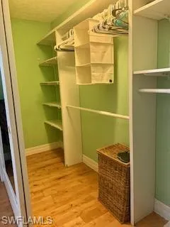 Spacious closet with hardwood / wood-style flooring