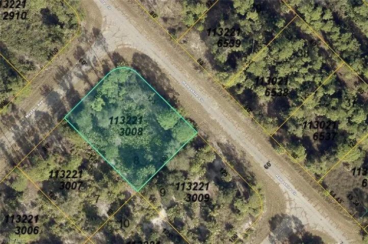 Plat Map. Illustrating lot dimensions and parcel identification numbers for the property