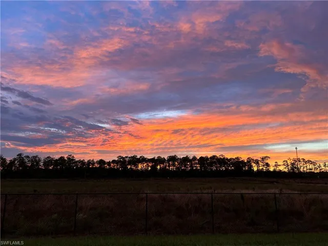View of yard at dusk