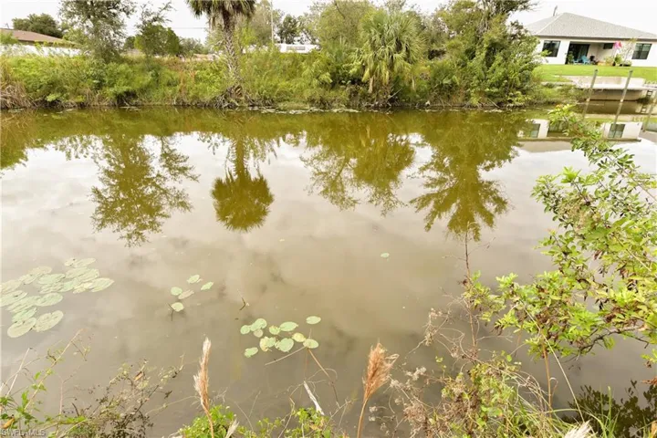 Fish from your backyard