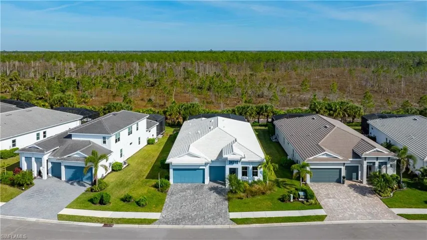 Aerial view of residential area with forest preserve