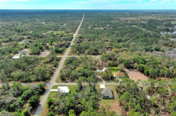 Aerial view of a forest