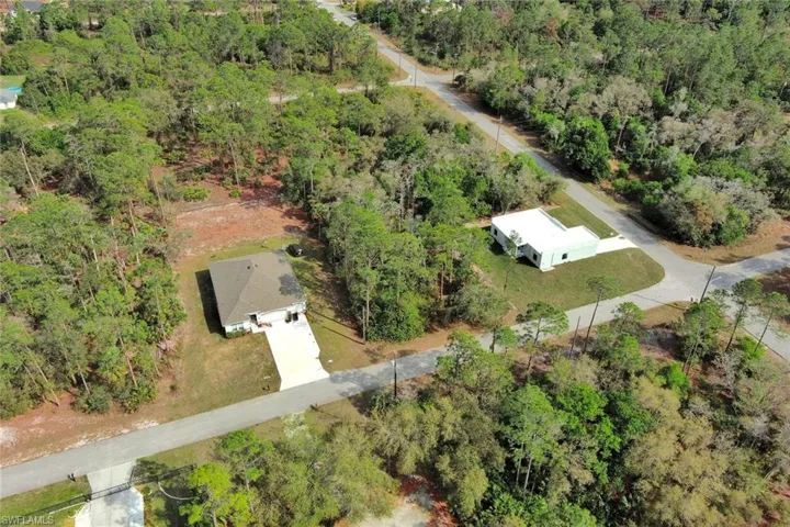 Aerial view of a forest