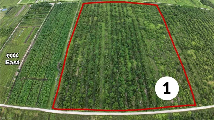 0 2nd Road, 40.01 m/l acres, Tract 4, Gerber Groves, farm and residential land in LaBelle, Florida